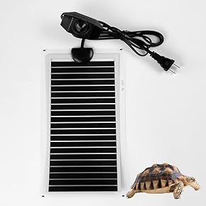 爬虫類用保温機器セット imgrc0087805738.jpg